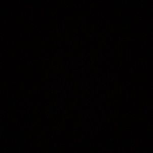 Meet your Posher, Joey